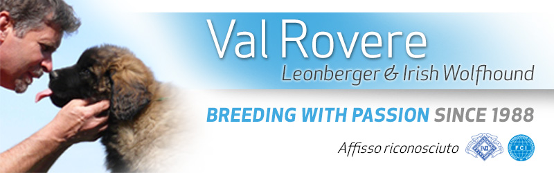 Val Rovere - Leonberger